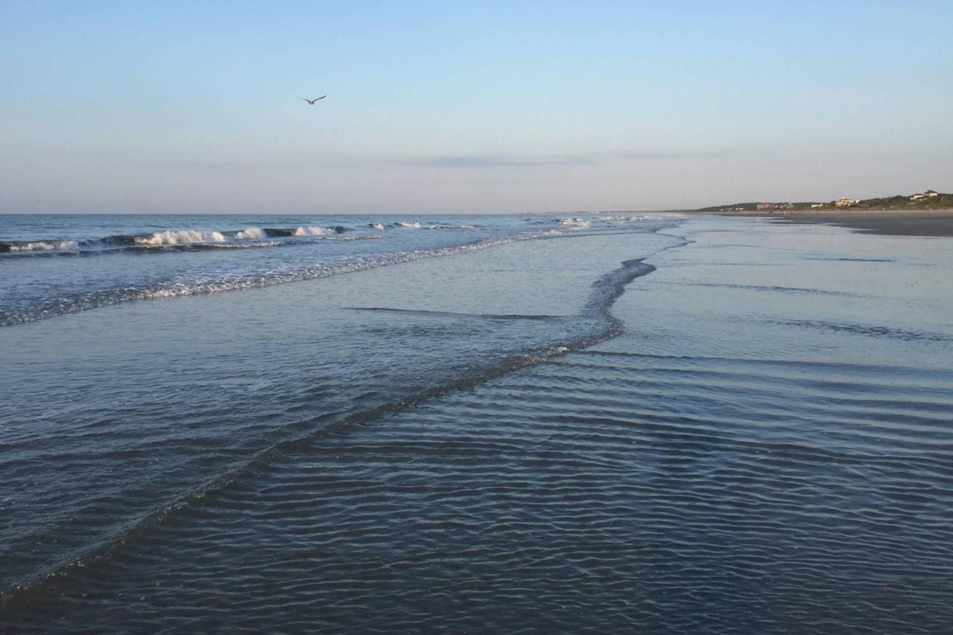 The Blue Pearl Villa Kiawah Island Kültér fotó